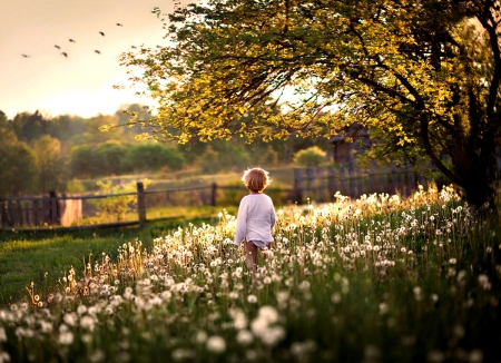 â™¥ - child, landscape, flowers, childhood, sky, clouds, splendor, sunset, nature, birds, boy