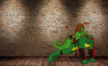 Added Weight - cartoons, raphael, tv series, mona lisa, teenage mutant ninja turtles, comic books