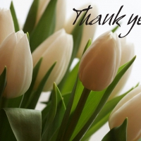 Tulips Thank You Card