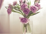 purple peonies