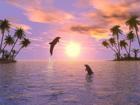 Dolphins at Sunset - nature, animals, dolphins, sunset, sea