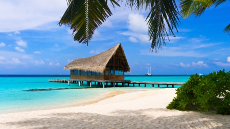 Island Hut - hut, ocean, beach, sky, bush, water, palm, nature, white, clouds, blue, green, tree, sand, shadow