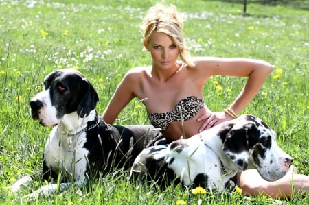 Pretty And  Dogs