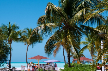 Antigua Beach - tropical, summer, water, palms, sea, umbrellas