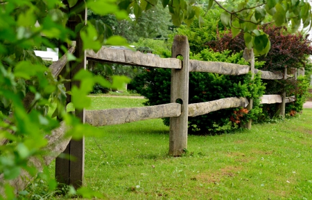 Summer Fence - beautful fence, pretty fence, Summer Fence, scenic fence