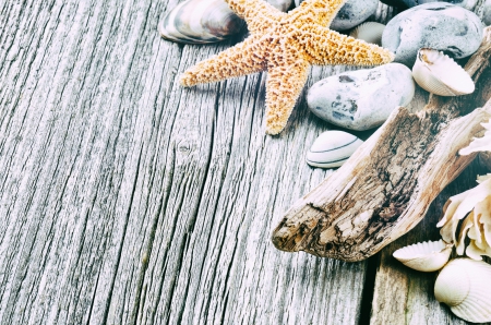 Starfish - starfish, wooden, summer, stones