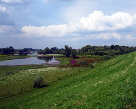 Countryside - flowers, grass, countryside, sky, pond, clouds, view, trees, nature