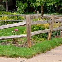 Little Summer Fence