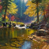 bear in autumn river