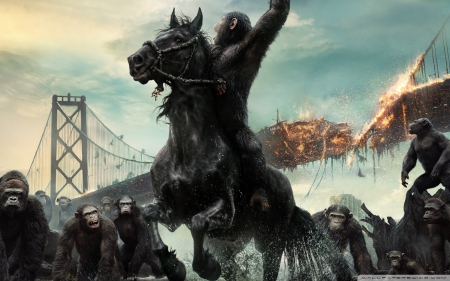 dawn of the planet - war, apes, movies, horse