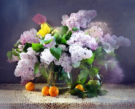 Still life - pretty, vase, beautiful, lilac, lovely, still life, bouquet, leaves, harmony, flowers, nice, fruits