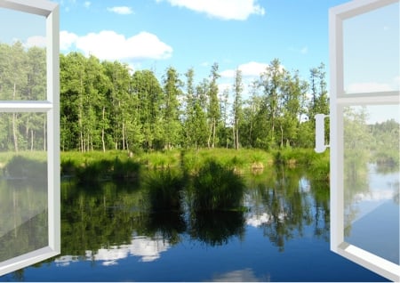 Window view - lake, indow, trees, reflection