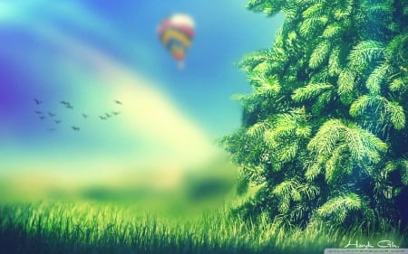 view of dreams - nature, green, sunlight, trees