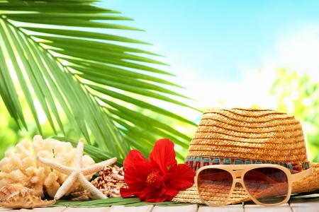 â™¥Summer Vacationâ™¥ - vacation, beach, hat, sunglasses, summer, palm