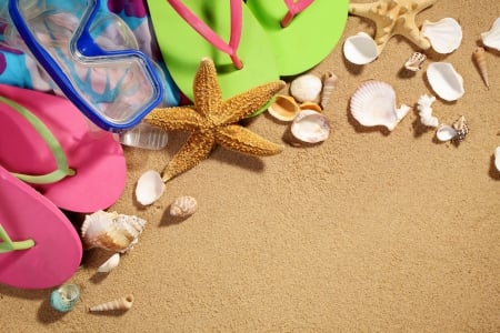 ♥Summer Vacation♥ - accessories, starfish, shells, summer, beach, sand