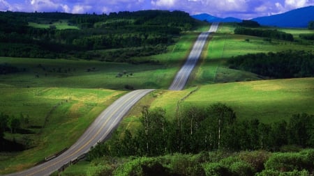 highway up and down lovely hills - highway, hills, grass, trees