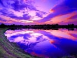 gorgeous purple sunset