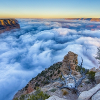 fabulous morning fog in the grand canyon hdr