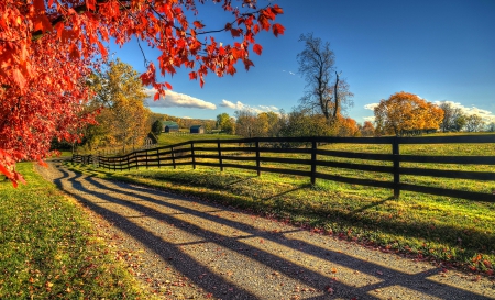 Autumn Morning On The Farm - virginia, fence, trees, field, rural house, autumn leaves, dirt road, yellow, red, blue, white clouds, beautiful, green, grass