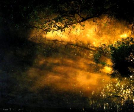 Mist - morning, summer, lake, mist