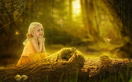 Amazed - forest, butterfly, fantasy, yellow, mushroom, web, girl, wood