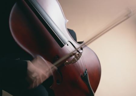 Cello Player - cello, music, band, instrument, concert