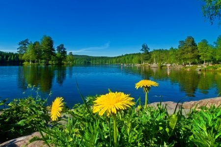 On a picnic - summer, joy, beautiful, beach, relax, rest, grass, view, fun, nature, wildflowers, picnic, serenity, clamness, shore, blue, lake, sky, lovely