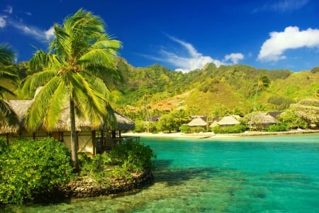 French Polynesia - cottage, sky, beach, tropics, trees, paradise, water, vacation, polynesia, french, crystal, view, emerald, holiday, relax, travel, palms, summer, shore, huts, lovely, exotic, beautiful, rest, island, sea