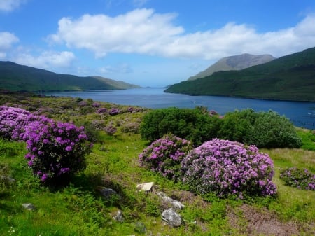 Lovely nature - lakeshore, lake, sky, mountain, riverbank, summer, lovely, bushes, nature, pretty, beautiful, river, scenery, grass, wildflowers