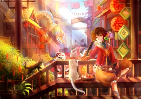 Kitty Cat - cat, anime girl, girl, oriental, kitty, chinese, lantern, scenery, pretty, sweet, anime, long hair, kitten, nice, lovely, scene, female, balcony