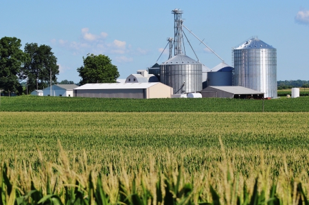 Indiana Farm - Farm, Indiana, Corn, Silo