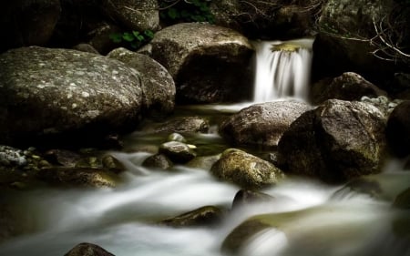 Hidden treasure - stone, photography, water, stream, summer, wallpaper, waterfall, rocks, hd, abstract, forest, river