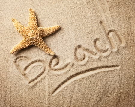 â™¥Sand Beachâ™¥ - starfish, marine, beach, texture, sand