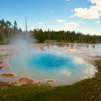 Hot Spring in Yellowstone