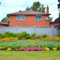 Corner garden in Brampton Ontario Canada summer 2014