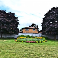 Corner garden [long shot] Brampton Ontario Canada summer 2014