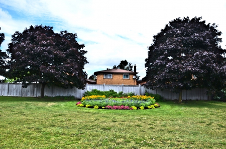 Corner garden [long shot] Brampton Ontario Canada summer 2014