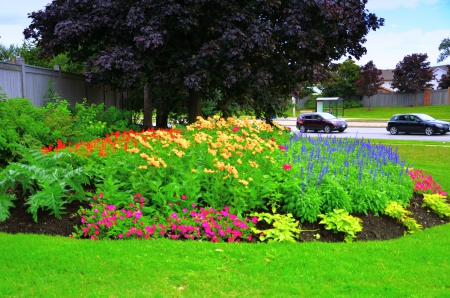 Corner garden side view #2 @ Brampton Ontario Canada - corner garden, Brampton, summer, Canada, 2014, Ontario