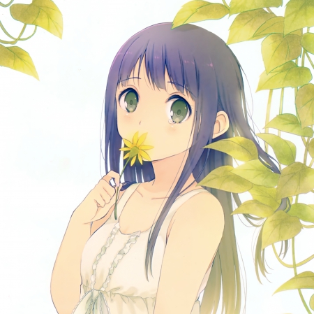 Flower Scent - flower, cute, plain, beautiful, blossom, anime girl, adorable, girl, white, sundress, simple, pretty, kawaii, beauty, sweet, anime, hd, dress, cg, long hair, nice, lovely, female