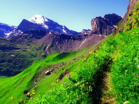 Mountain slope - pretty, hills, summer, grass, mountain, cliffs, sky, greenery, carpet, beautiful, slope, lovely, valley, freshness, peaks, wildflowers, nature, green