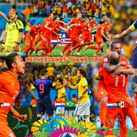 NETHERLANDS WORLD CUP 2014 WALLPAPER