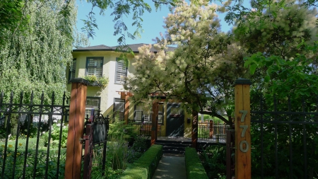 Beautiful entrance - entrance, tree, house, garden