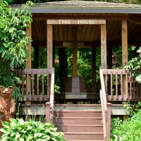Scenic Park Tree House
