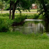 Tranquil Park Scene