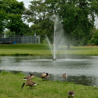 Waterworks In The Park