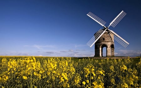 Cresterton Windmill, Warwickshire, UK - flowers, uk, stone, windmill