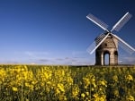 Cresterton Windmill, Warwickshire, UK