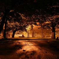 Park in the evening