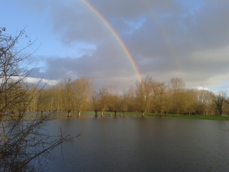 poitou - nature, lakes, bm, france, marais