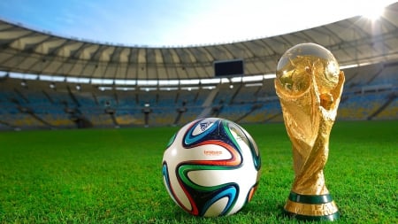 FIFA WORLD CUP 2014 - 2014, sports, skyphoenixx1, trophy, gield, field, fifa, ball, soccer, brazil, cup, brasil, football, grass, world cup